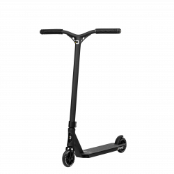 Divine Apollon Black
